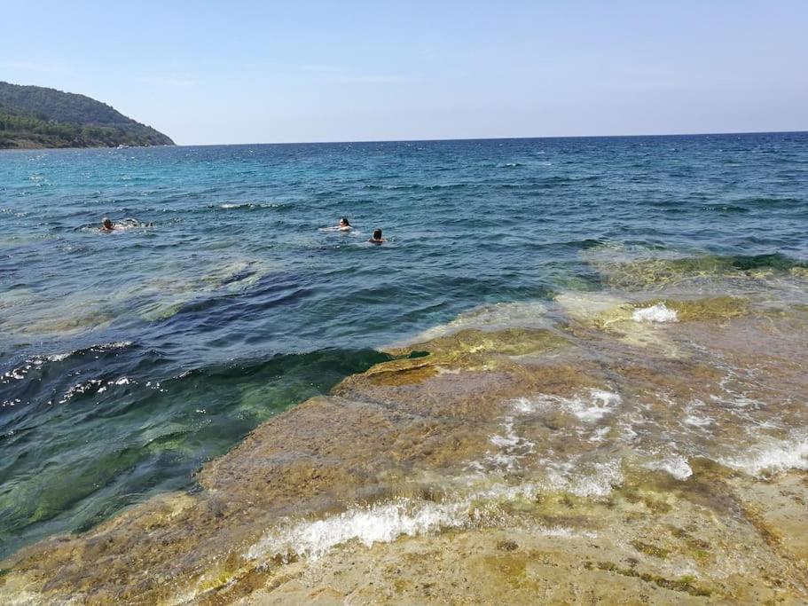 Apartmán La Conchiglia Di Trentova Agropoli Exteriér fotografie