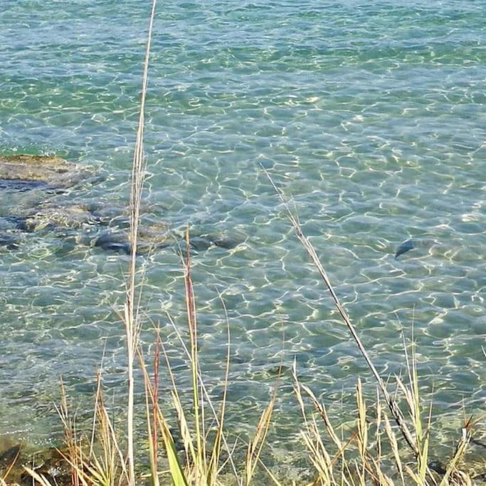 Apartmán La Conchiglia Di Trentova Agropoli Exteriér fotografie